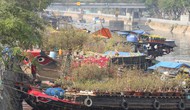 TP Hồ Chí Minh: Nhiều nét mới tại chợ hoa Xuân 'trên bến dưới thuyền' năm 2024