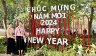 Du lịch Việt Nam khởi sắc những ngày đầu năm mới 2024
