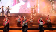 Cuộc thi 