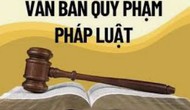 Thông báo mời cung cấp báo giá “Truyền thông chính sách có tác động lớn đến xã hội trong quá trình xây dựng văn bản quy phạm pháp luật ngành văn hóa, thể thao và du lịch trên phương tiện thông tin đại chúng”