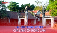 Lạc lối trong vẻ đẹp của Làng cổ Đường Lâm