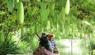 Du lịch nông nghiệp, nông thôn - Xu hướng đang được ưa chuộng
