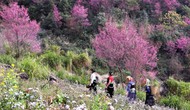 Yên Bái: Nhiều hoạt động đặc sắc chào đón du khách tại Festival khèn Mông và Lễ hội hoa Tớ dày