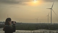 Quảng Bình: Khảo sát tiềm năng khai thác du lịch tại Cụm trang trại điện gió B&T