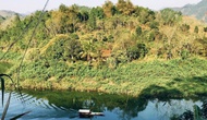 Tuyên Quang phê duyệt đề án du lịch sinh thái rừng phòng hộ Na Hang