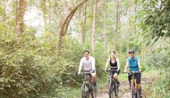 Thừa Thiên Huế: Đón đầu mùa cao điểm du lịch