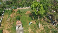 Cấp phép thăm dò, khai quật khảo cổ tại di tích Tháp đôi Liễu Cốc, tỉnh Thừa Thiên Huế