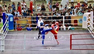 Bà Rịa - Vũng Tàu: Thể thao thành tích cao giành 15 huy chương vàng