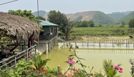 Quảng Ninh: Du lịch nông nghiệp - hướng đi mới cho người dân nông thôn