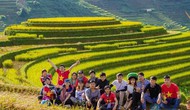 Quảng Ninh: Sức hút du lịch nông nghiệp