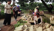 Thừa Thiên Huế: Tái hiện không gian văn hóa với các hoạt động mang tính cộng đồng trong Ngày hội “Hương xưa làng cổ”