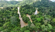 Vườn Quốc gia Cát Tiên được công nhận đạt danh hiệu Danh lục Xanh