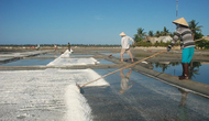 Quảng Ngãi: Bảo tồn đồng muối truyền thống Sa Huỳnh gắn với phát triển du lịch cộng đồng