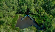 Cà Mau: Phát triển du lịch dưới tán rừng
