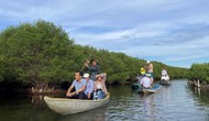 Quảng Ngãi: Phát triển du lịch sinh thái dưới tán rừng ngập mặn