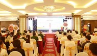 Hơn 8 triệu lượt khách đến Bình Định trong 9 tháng đầu năm 2024