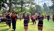 Khám phá bản sắc văn hóa các dân tộc Việt Nam qua chuỗi sự kiện 