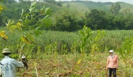 Quỹ 