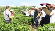 Thái Nguyên: Du lịch bền vững - hướng đi tất yếu thời hội nhập