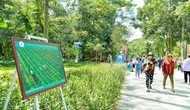 Đồng Tháp triển khai đồng bộ và hiệu quả pháp luật bảo hộ về quyền tác giả, quyền liên quan