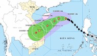 Thủ tướng yêu cầu chủ động ứng phó bão số 12 và mưa lũ