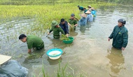 Thủ tướng yêu cầu phải thần tốc hơn nữa, huy động tối đa lực lượng khắc phục nhanh nhất hậu quả bão, mưa lũ