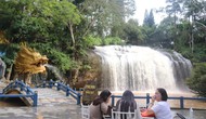 Liên kết vùng Khánh Hòa - Lâm Đồng: Kết nối xứ biển, trà và hoa