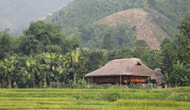 Chung tay dựng nhà sàn - Gìn giữ nét đẹp kiến trúc truyền thống đồng bào Tày 