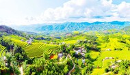 Đưa ruộng bậc thang Cao Thắng trở thành điểm đến du lịch sinh thái văn hóa tiêu biểu