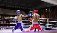 Khai mạc Giải vô địch các câu lạc bộ Kickboxing toàn quốc
