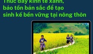 Thúc đẩy kinh tế xanh, bảo tồn bản sắc để tạo sinh kế bền vững tại nông thôn
