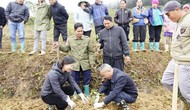 Lào Cai: Xã Bắc Hà phát động trồng cây chanh leo vàng, mở hướng phát triển kinh tế bền vững cho người dân vùng cao