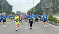 Kỷ lục số lượng vận động viên tham gia Giải Marathon Quốc tế Di sản Hạ Long 2025