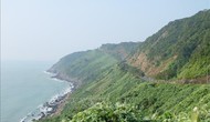 Đà Nẵng: Tiếp tục tạm dừng tham quan bán đảo Sơn Trà để đảm bảo an toàn