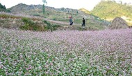 Tuyên Quang: Quảng bá sâu rộng hình ảnh du lịch 'Miền đá nở hoa'