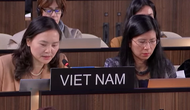 Dấu ấn Việt Nam tại UNESCO: Từ hội nhập sang kiến tạo chính sách văn hóa