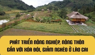 Infographic: Phát triển nông nghiệp, nông thôn gắn với xóa đói, giảm nghèo ở Lào Cai 