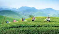 Thái Nguyên chuyển mình thành điểm đến du lịch MICE
