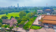 Bộ VHTTDL đặt mục tiêu năm 2026 cắt giảm, đơn giản hoá 100% điều kiện đầu tư kinh doanh không cần thiết