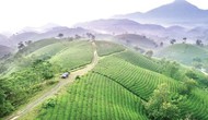 
Phú Thọ - Một hành trình nhiều điểm đến