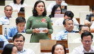 ĐBQH kiến nghị tăng cường kiểm soát, quản lý hoạt động quảng cáo đối với những người nổi tiếng