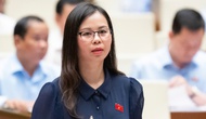 Kiến nghị tổ chức, cá nhân nước ngoài cung cấp dịch vụ quảng cáo xuyên biên giới tại Việt Nam phải có trách nhiệm đăng ký hoạt động với cơ quan quản lý