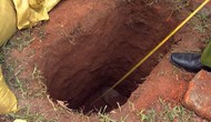 Sở VHTTDL Thanh Hóa báo cáo công tác rà soát, kiểm tra việc xâm hại lăng mộ vua Lê Túc Tông và các di tích lăng, mộ khác trên địa bàn tỉnh