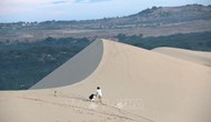 Đánh thức tiềm năng du lịch Bình Thuận qua điện ảnh