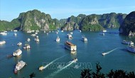 Quảng Ninh: Dừng hoạt động với tàu du lịch để khách sử dụng sản phẩm nhựa dùng một lần