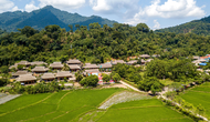 Tuyên Quang phê duyệt đề cương trưng bày chi tiết Bảo tàng ATK Tân Trào