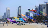 Thổi bùng không khí hè sôi động với chuỗi sự kiện Lễ hội Tận hưởng Đà Nẵng