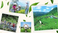 Thái Nguyên: Mùa du lịch 