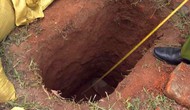 Xử lý thông tin phản ánh tình trạng nhiều di tích lịch sử, di sản quốc gia bị xâm hại