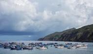 Bình Định: Sẽ xây dựng các bến thủy nội địa cho các tàu phục vụ khách du lịch biển